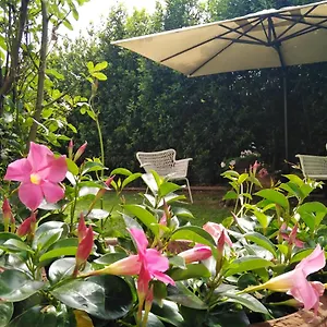  Bed & Breakfast Bio Vivere La Italy